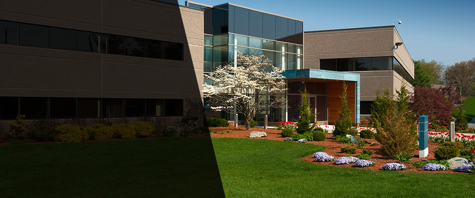 Arlington Heights Landscapers