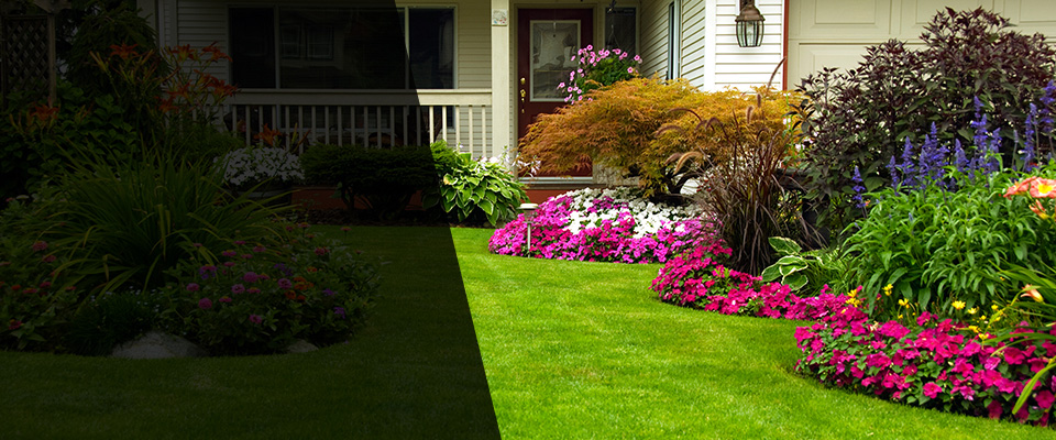 Arlington Heights Landscapers